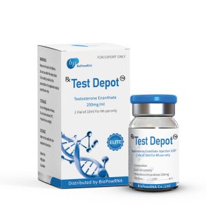 Testosterone Enanthate, BioPoweRNA Testosterone, Test E 250, Test E 300, long-acting testosterone, hormone support, muscle growth, performance enhancement.