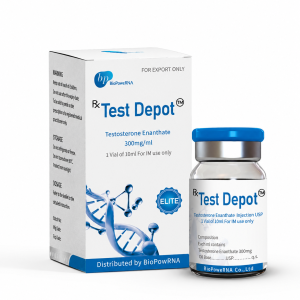 Testosterone Enanthate, BioPoweRNA Testosterone, Test E 250, Test E 300, long-acting testosterone, hormone support, muscle growth, performance enhancement.