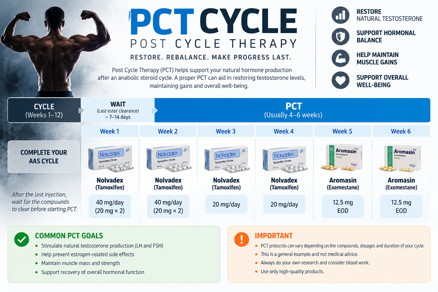 Learn about PCT after an AAS cycle, including Tamoxifen, Clomiphene, Enclomiphene, HCG, estrogen management, B12, Glutathione, NAD+ and recovery support.